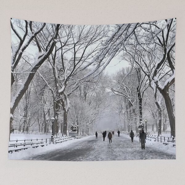 Item preview, Central Park 2016 designed and sold by NYConlineStore.
