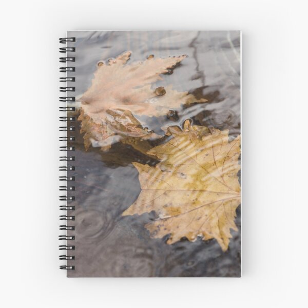 Item preview, Autumn Maple Leaves Floating in a Copper Fountain designed and sold by Georgia Mizuleva.