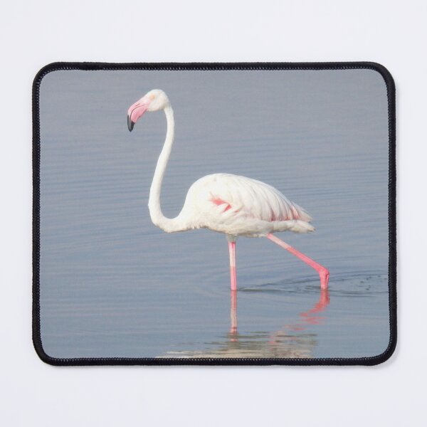 Item preview, Elegant Flamingo Pose in Water designed and sold by Travel8.