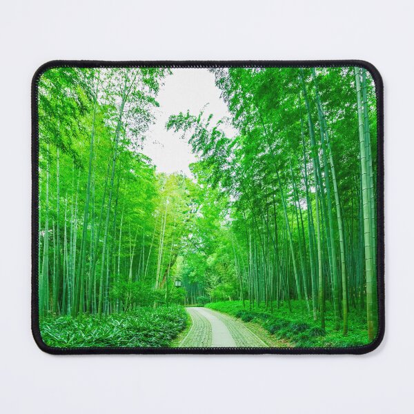 Item preview, Tranquil Bamboo Forest Path designed and sold by GamerGearTees.