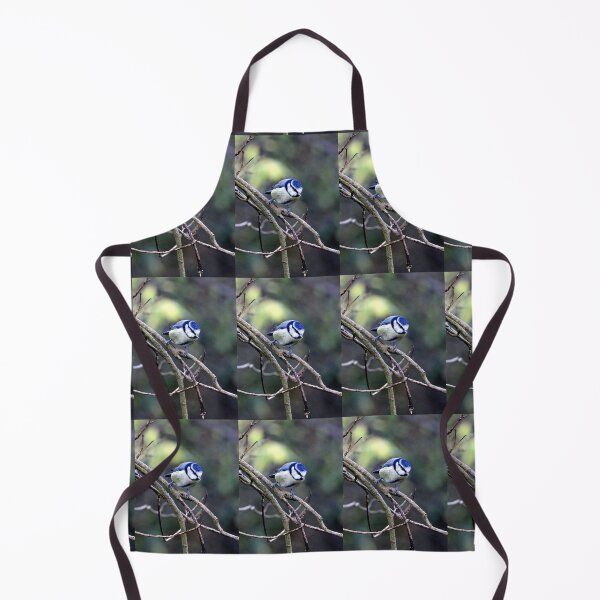 Aperçu de l'œuvre mésange bleue créée et vendue par KathleenDawson.