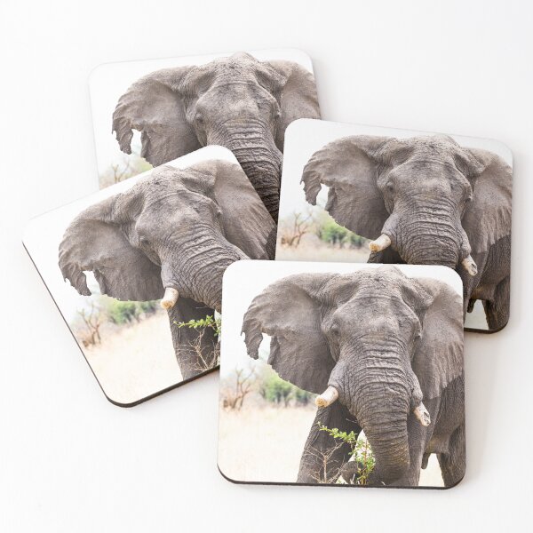 Item preview, Old African Bull Elephant designed and sold by Adrian Peacock Nature and Wildlife.