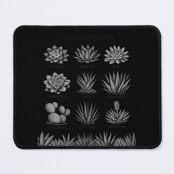 Item preview, Rare Cactus Plant Collection Garden Types Of Succulents designed and sold by BubblePancake.
