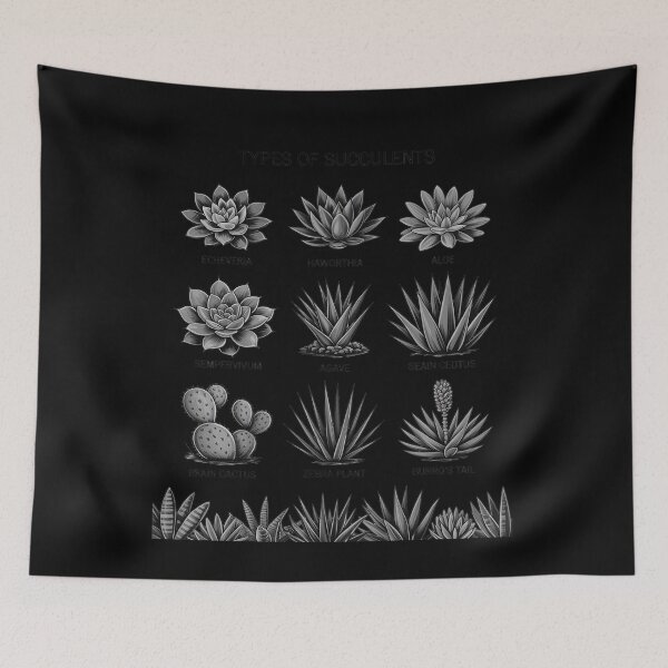 Item preview, Rare Cactus Plant Collection Garden Types Of Succulents designed and sold by BubblePancake.