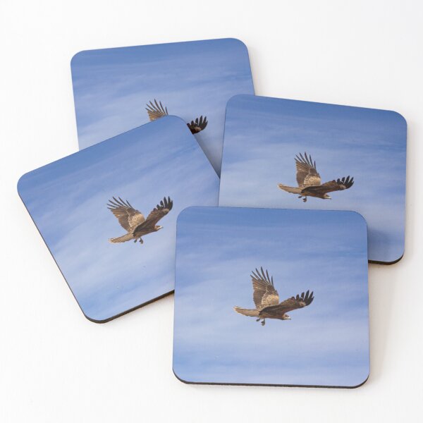 Item preview, Kanazawa Hawk 1 designed and sold by Matthew McGraw Photos.