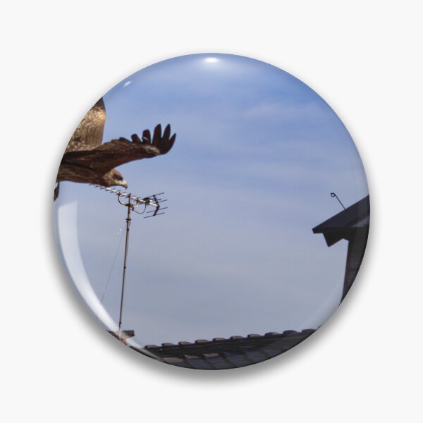 Item preview, Kanazawa Hawk 2 designed and sold by Matthew McGraw Photos.