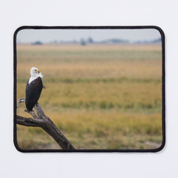 Item preview, Perched African Fish Eagle  designed and sold by Adrian Peacock Nature and Wildlife.