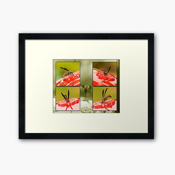INVASION Framed Art Print