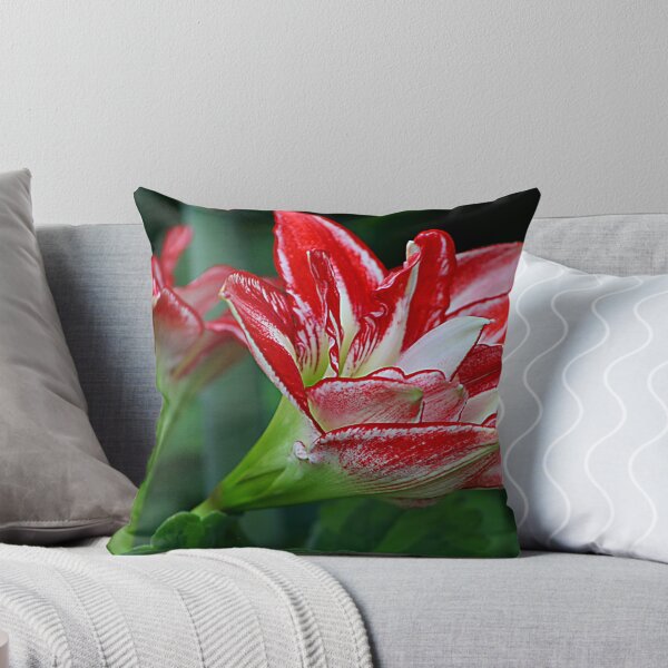Item preview, Amaryllis designed and sold by Teresa Zieba.