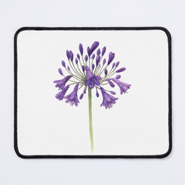 Item preview, Agapanthus ‘Storm Cloud’ designed and sold by HOMETOWN86.