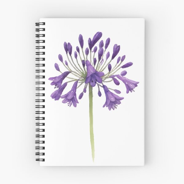 Item preview, Agapanthus ‘Storm Cloud’ designed and sold by HOMETOWN86.