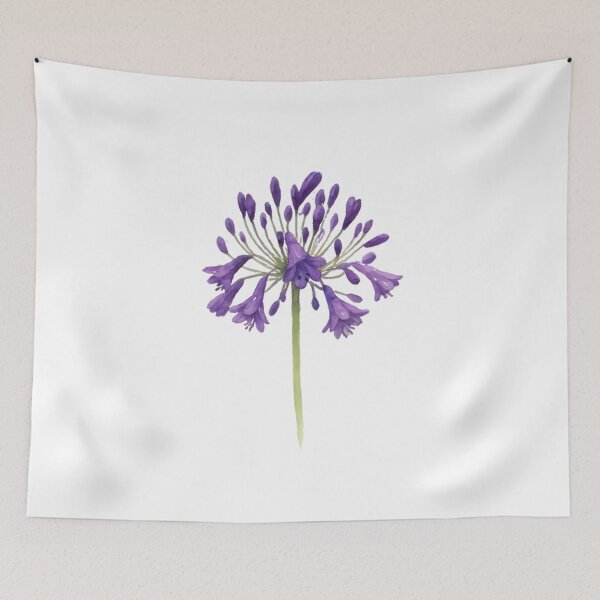 Item preview, Agapanthus ‘Storm Cloud’ designed and sold by HOMETOWN86.