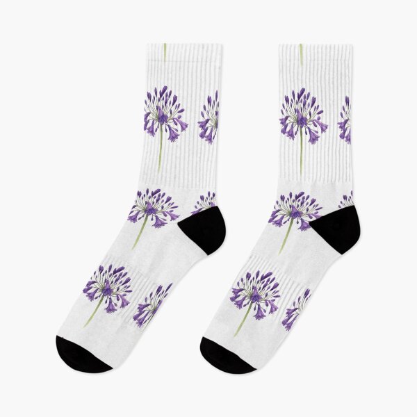 Item preview, Agapanthus ‘Storm Cloud’ designed and sold by HOMETOWN86.