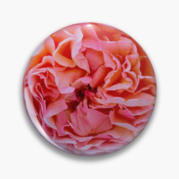 Item preview, Vibrant Blooming Pink Rose designed and sold by MercerImages.