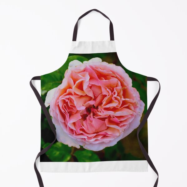Item preview, Vibrant Blooming Pink Rose designed and sold by MercerImages.