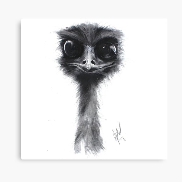 "So.." said the Emu Canvas Print