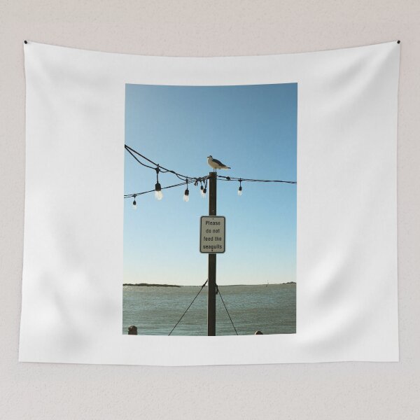Item preview, Seagull Perched on a Signpost designed and sold by Cynthia48.