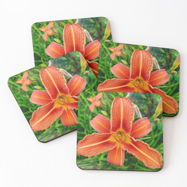 Item preview, Beautiful flower - Orange Daylily Photo designed and sold by Sky-99.