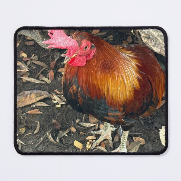 Item preview, Colorful Maui Rooster designed and sold by Bri-1.