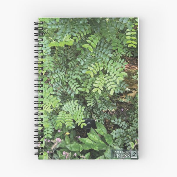 Item preview, Tiny Ferns designed and sold by jargonautpress.
