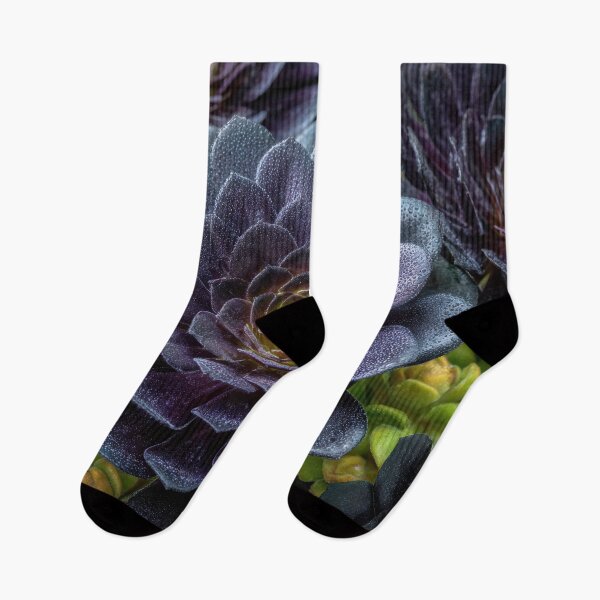 Item preview, Lush dark succulents in garden designed and sold by anytka.