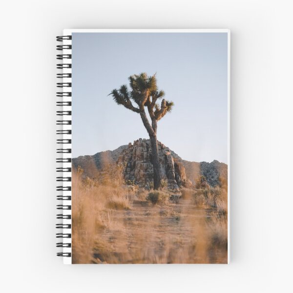 Item preview, Desert Tree and Mountain Photographic Print designed and sold by Mother-Nature65.