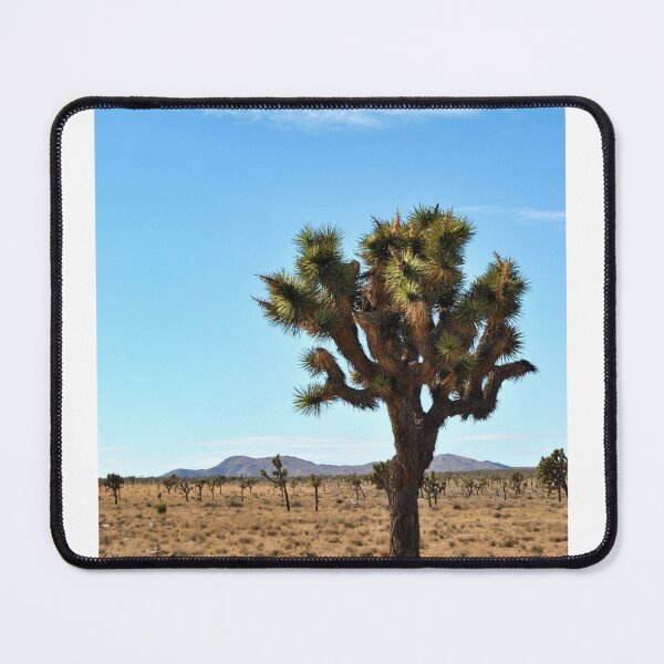 Item preview, Desert Trees Cloudy Blue Sky Photographic Print designed and sold by Mother-Nature65.