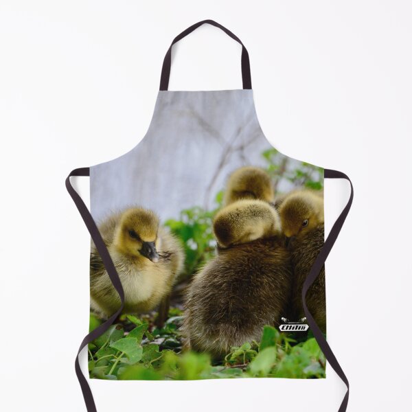 Item preview, Four adorable chicks – sibling love / Swiss Artwork Photography designed and sold by Raphael Wolf.