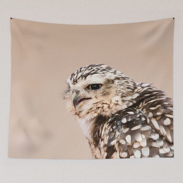 Item preview, Owl – Guardian of the Night with a Sharp Eye / Swiss Artwork Photography designed and sold by Raphael Wolf.