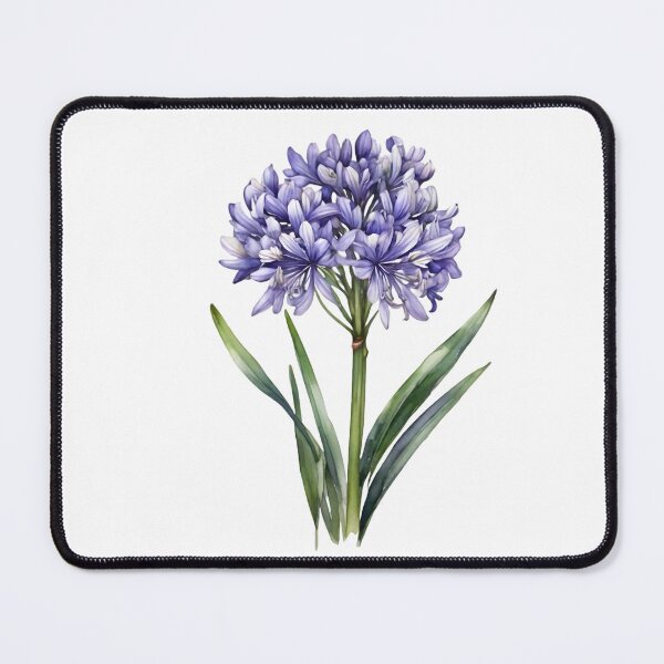 Item preview, Agapanthus (Agapanthus africanus) designed and sold by HOMETOWN86.