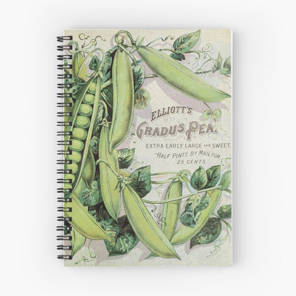 Item preview, Vintage Vegetable Plant Advertisement designed and sold by newnouveau.