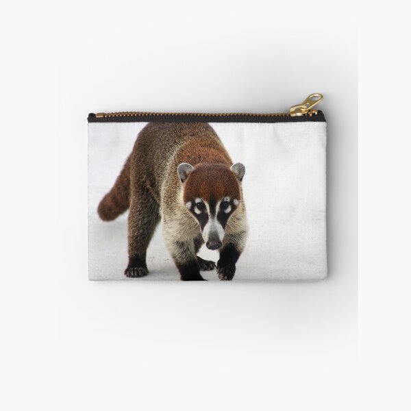Item preview, Coatimundi designed and sold by Teresa Zieba.