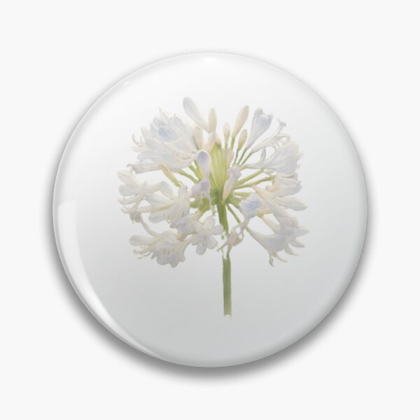 Item preview, Agapanthus ‘Phantom’ designed and sold by HOMETOWN86.
