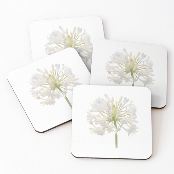 Item preview, Agapanthus ‘Phantom’ designed and sold by HOMETOWN86.