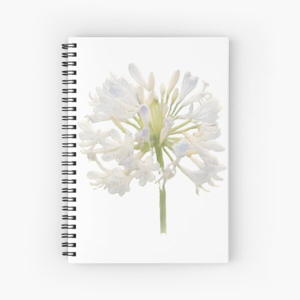 Item preview, Agapanthus ‘Phantom’ designed and sold by HOMETOWN86.