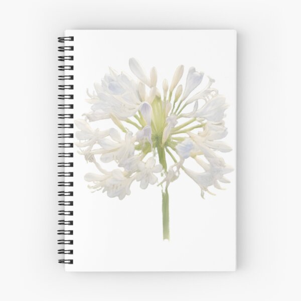 Item preview, Agapanthus ‘Phantom’ designed and sold by HOMETOWN86.