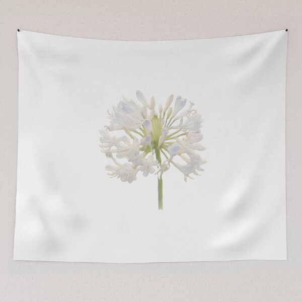 Item preview, Agapanthus ‘Phantom’ designed and sold by HOMETOWN86.
