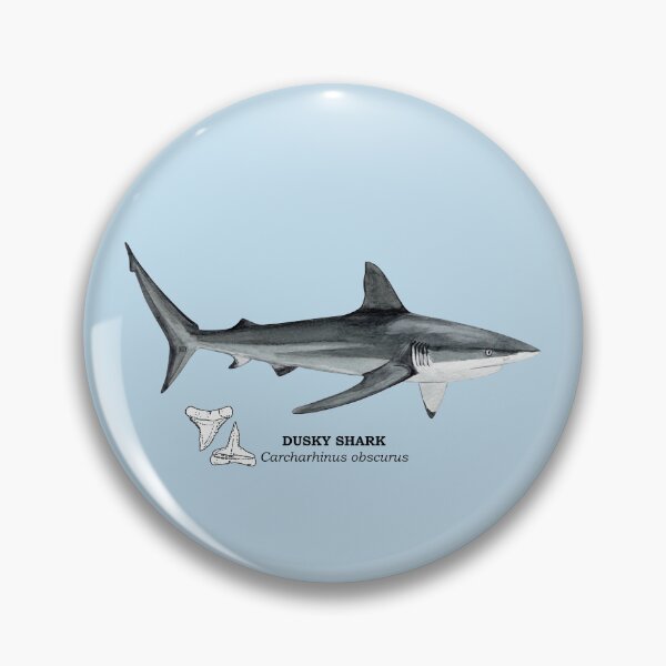 Item preview, DUSKY SHARK-Carcharhinus obscurus (name and teeth) designed and sold by BEATRIZ ABAITUA.
