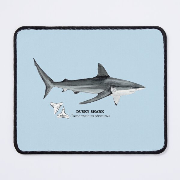 Item preview, DUSKY SHARK-Carcharhinus obscurus (name and teeth) designed and sold by BEATRIZ ABAITUA.