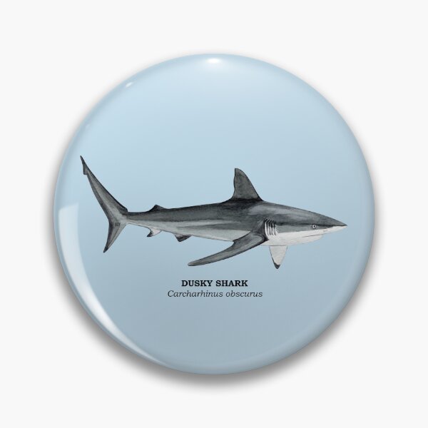 Item preview, DUSKY SHARK-Carcharhinus obscurus (name) designed and sold by BEATRIZ ABAITUA.