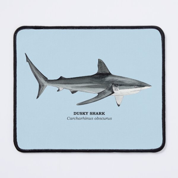 Item preview, DUSKY SHARK-Carcharhinus obscurus (name) designed and sold by BEATRIZ ABAITUA.