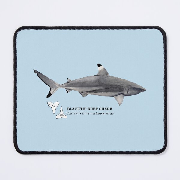 Item preview, BLACKTIP REEF SHARK-Carcharhinus melanopterus (name and teeth) designed and sold by BEATRIZ ABAITUA.
