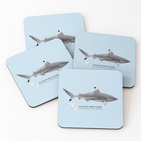 Item preview, BLACKTIP REEF SHARK-Carcharhinus melanopterus (name and teeth) designed and sold by BEATRIZ ABAITUA.