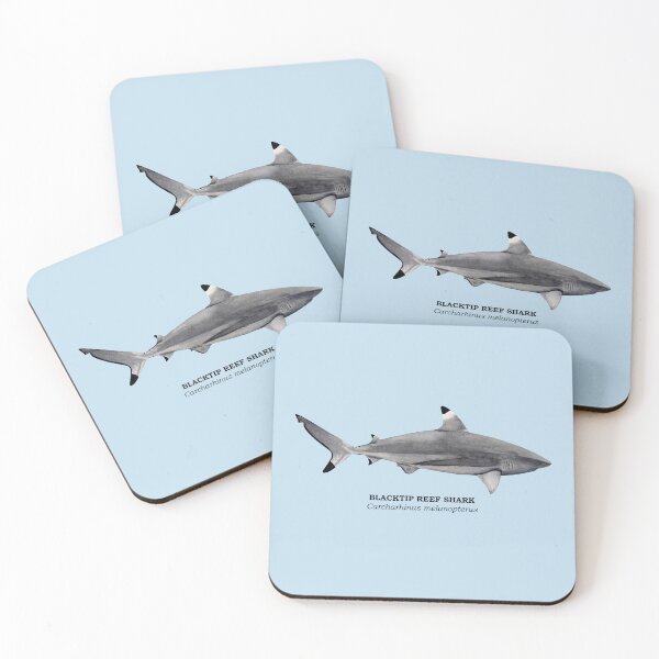 Item preview, BLACKTIP REEF SHARK-Carcharhinus melanopterus (name) designed and sold by BEATRIZ ABAITUA.