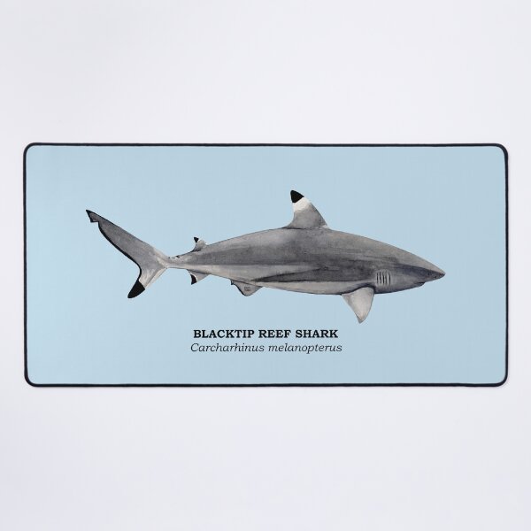 Item preview, BLACKTIP REEF SHARK-Carcharhinus melanopterus (name) designed and sold by BEATRIZ ABAITUA.