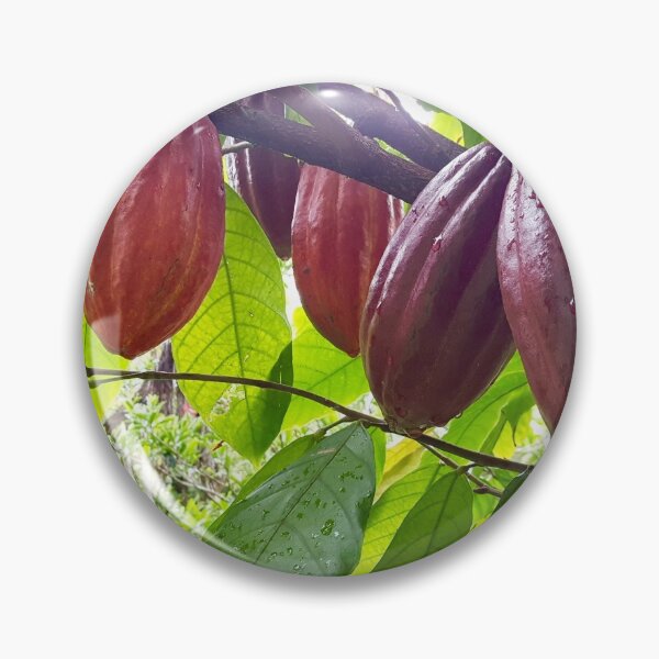Item preview, Ripe Cacao Pods on the Tree designed and sold by TrisaThyme.