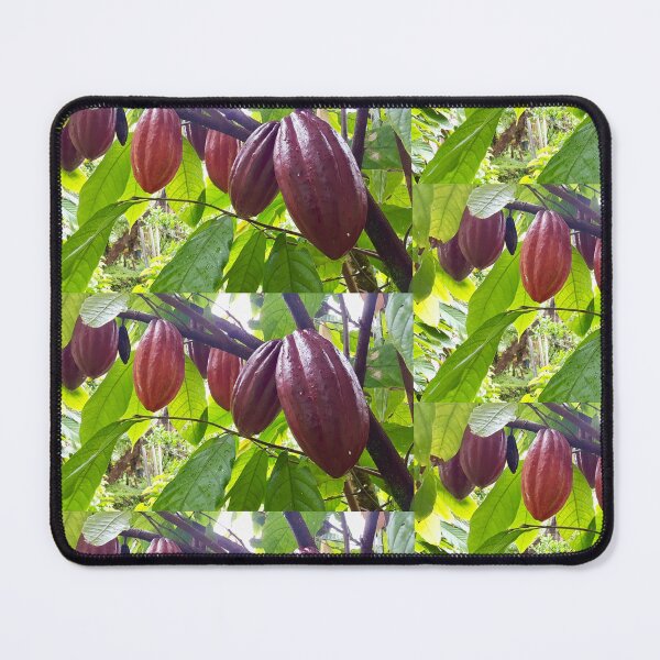 Item preview, Ripe Cacao Pods on the Tree designed and sold by TrisaThyme.