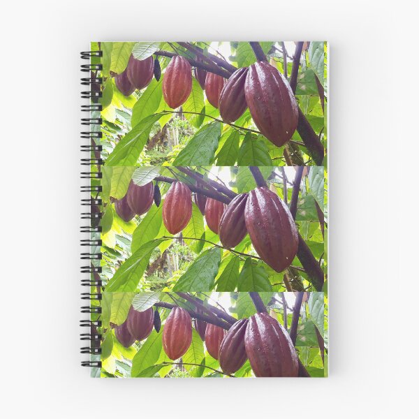 Item preview, Ripe Cacao Pods on the Tree designed and sold by TrisaThyme.