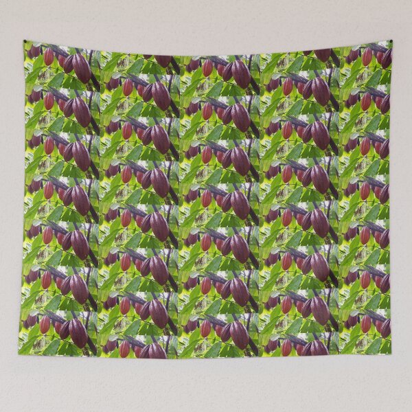 Item preview, Ripe Cacao Pods on the Tree designed and sold by TrisaThyme.