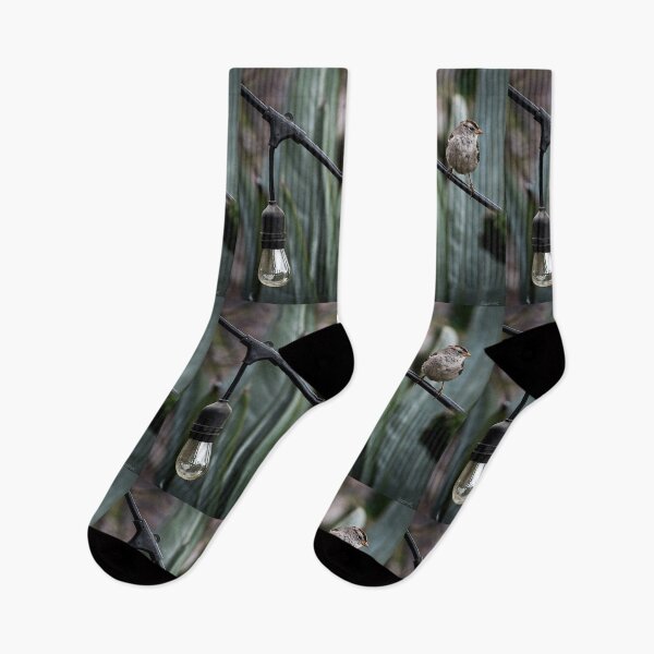 Item preview, Hanging in the Balance designed and sold by WrightDesignsUS.